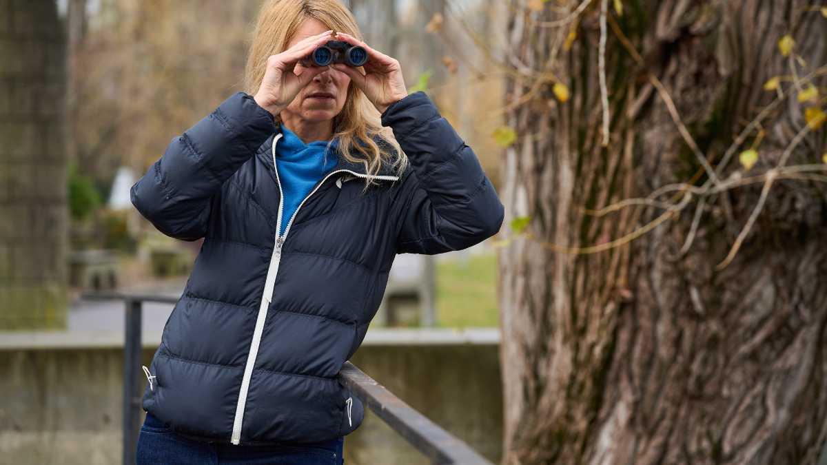 Birdwatching allo stagno di Casaraccio: elenco delle specie osservabili a Stintino