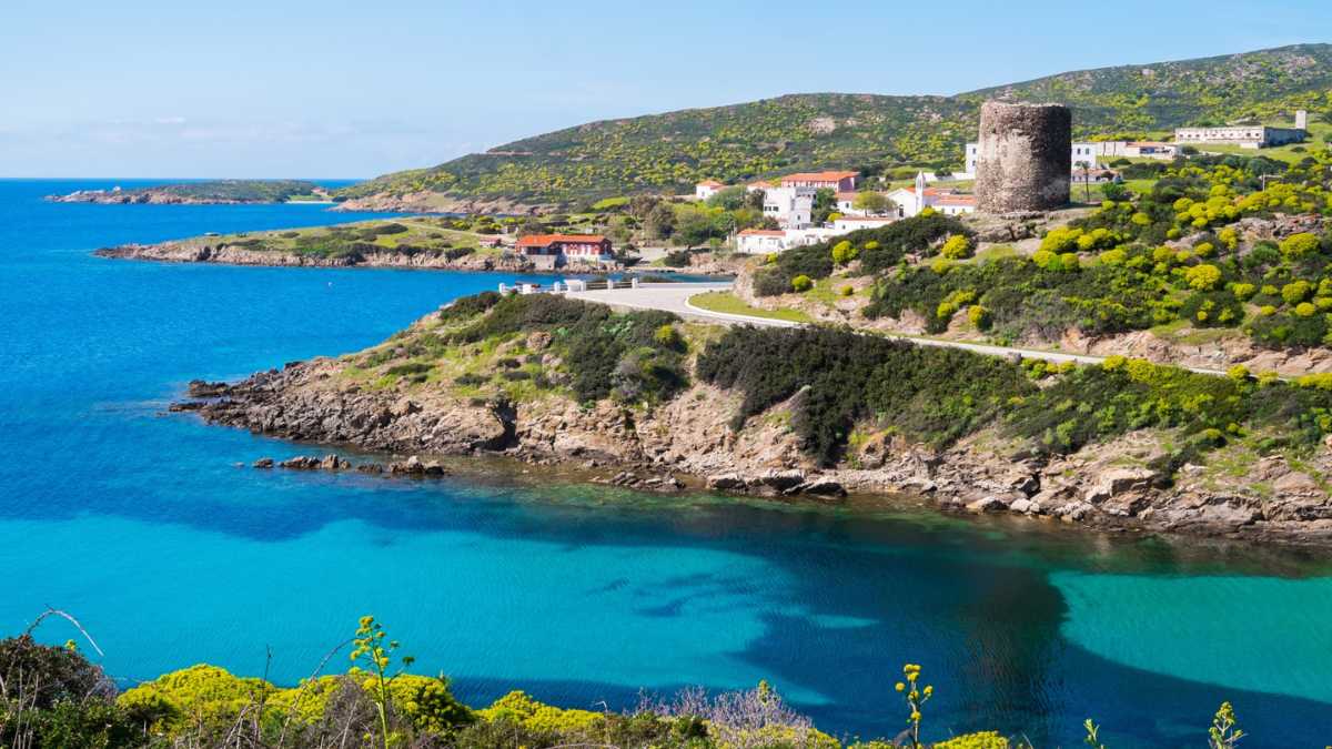 Parco dell’Asinara in barca: come organizzare la visita da Stintino