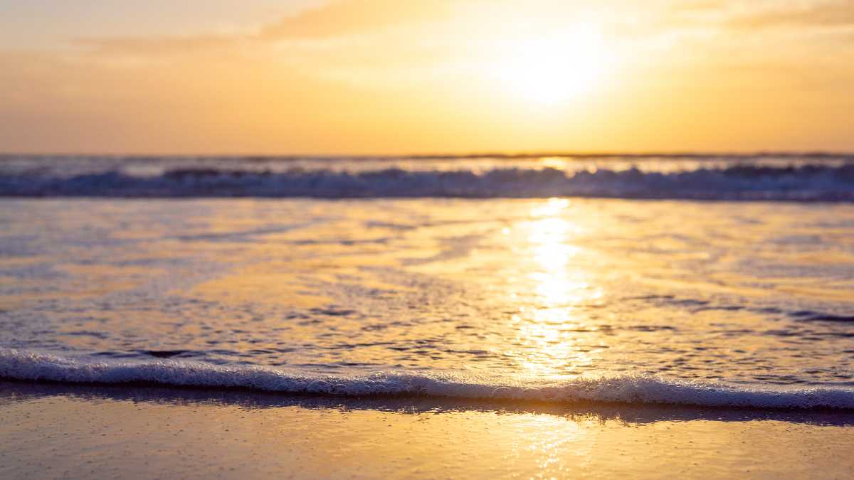 Qual è la spiaggia più bella di Stintino? Guida aggiornata 2026