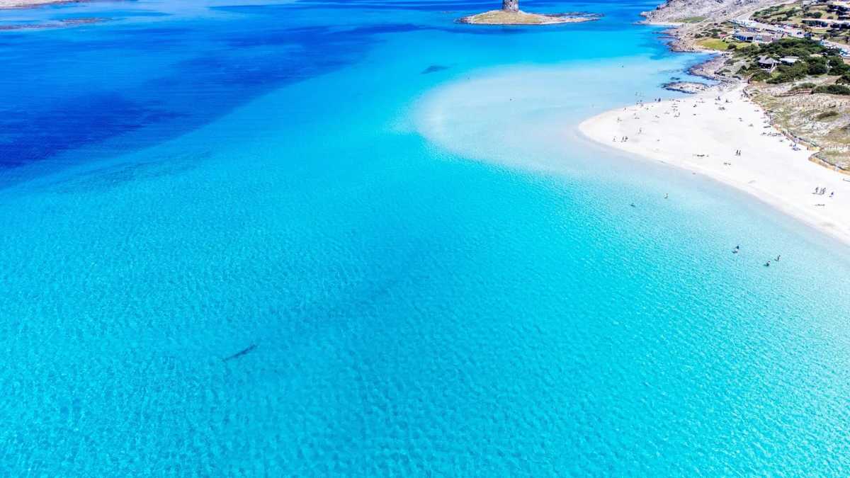 Spiaggia La Pelosa: come prenotare e orari per l’estate 2026 a Stintino