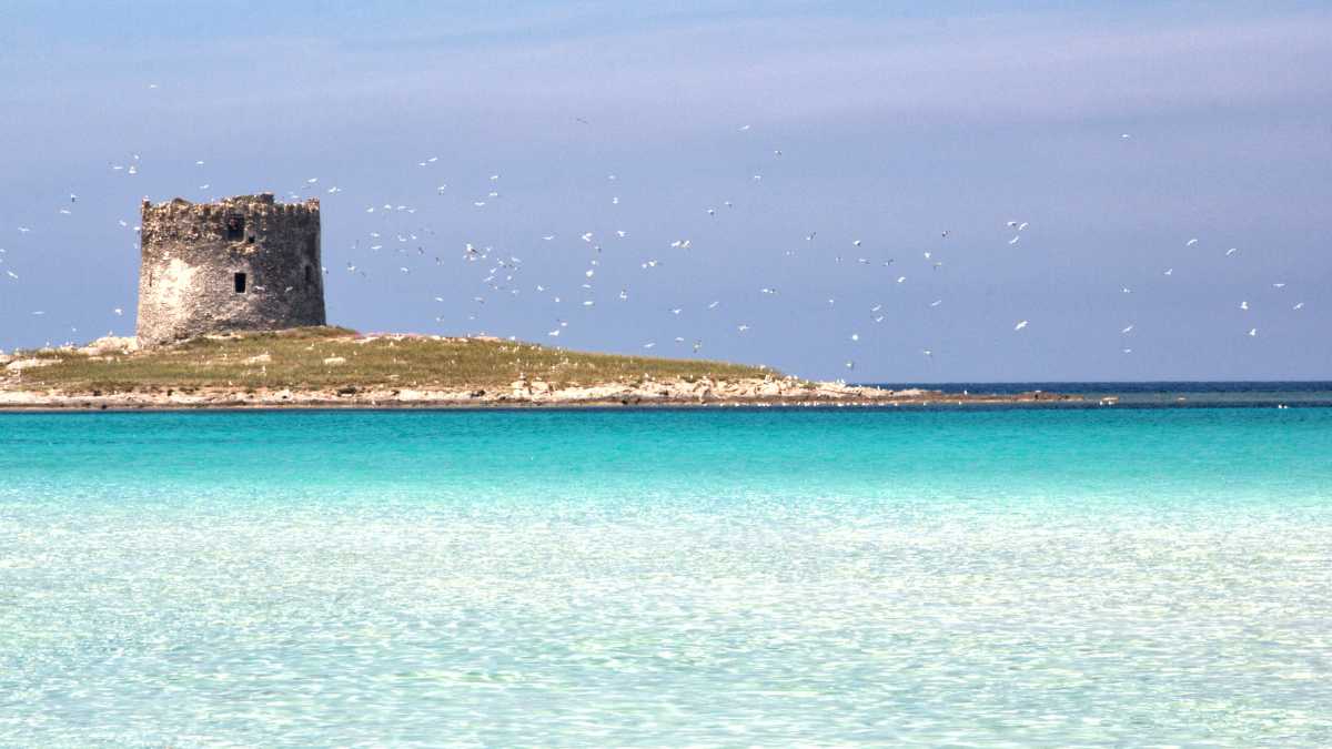 Stintino e sostenibilità: come proteggere le spiagge più belle