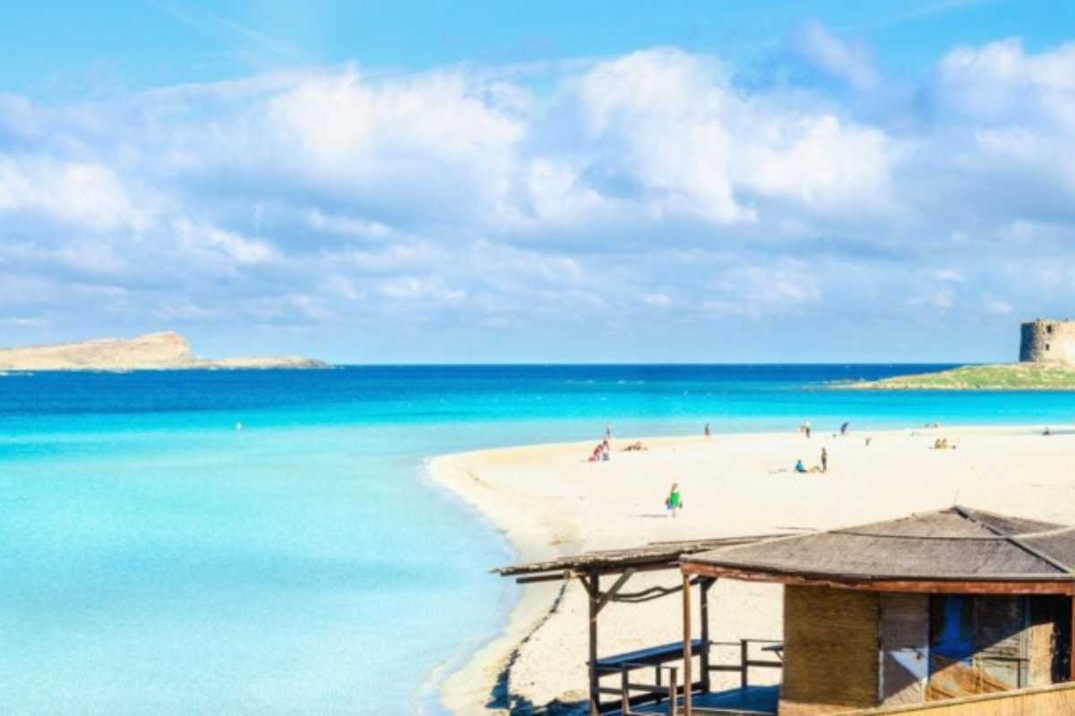 Scorcio panoramico di Stintino con spiaggia bianca La Pelosa, mare turchese, famiglie e cani che giocano sulla battigia, atmosfera estiva accogliente