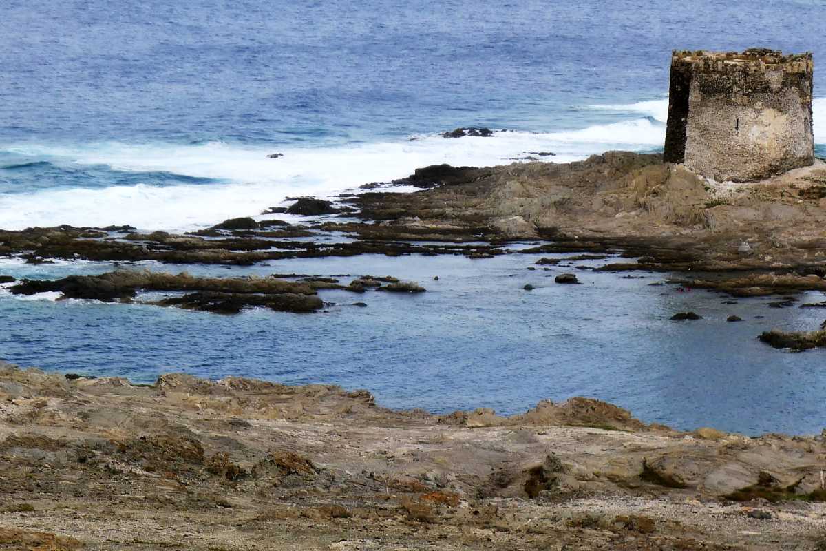 Processione in mare durante la Festa della Beata Vergine della Difesa a Stintino, barche addobbate e folla in attesa sulla spiaggia, atmosfera di festa estiva