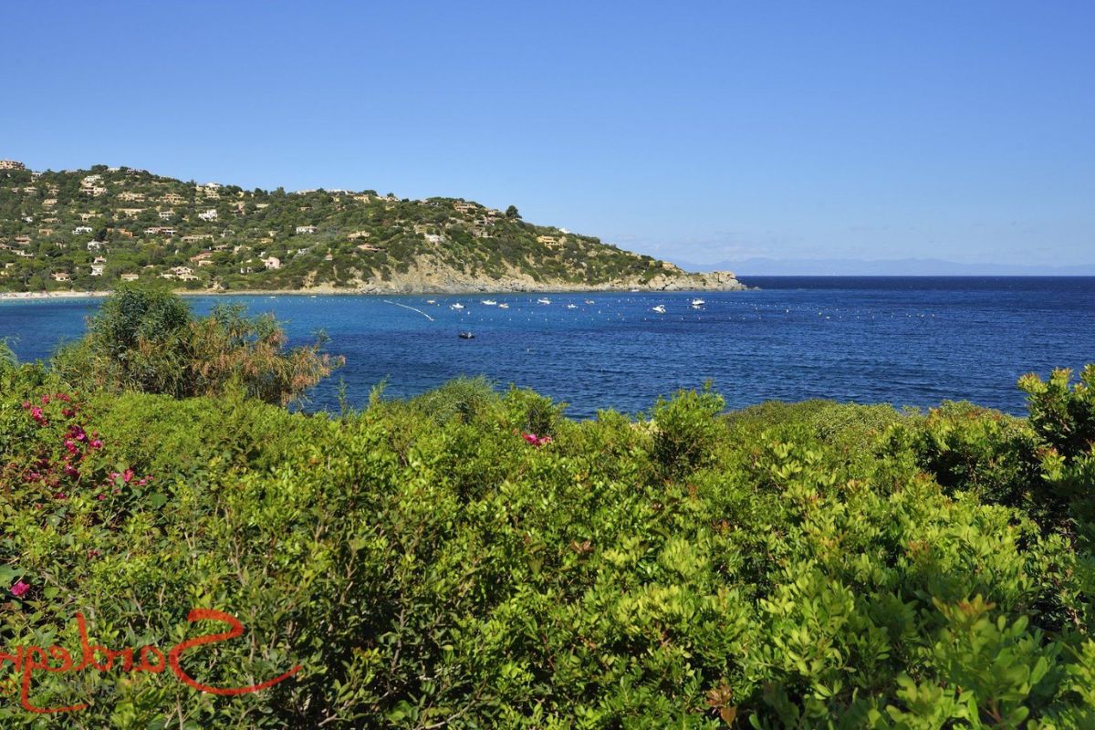 Vista panoramica della Spiaggia Le Saline con sabbia chiara e ciottoli, ombrelloni colorati, mare limpido, pochi turisti, atmosfera rilassata, Stintino